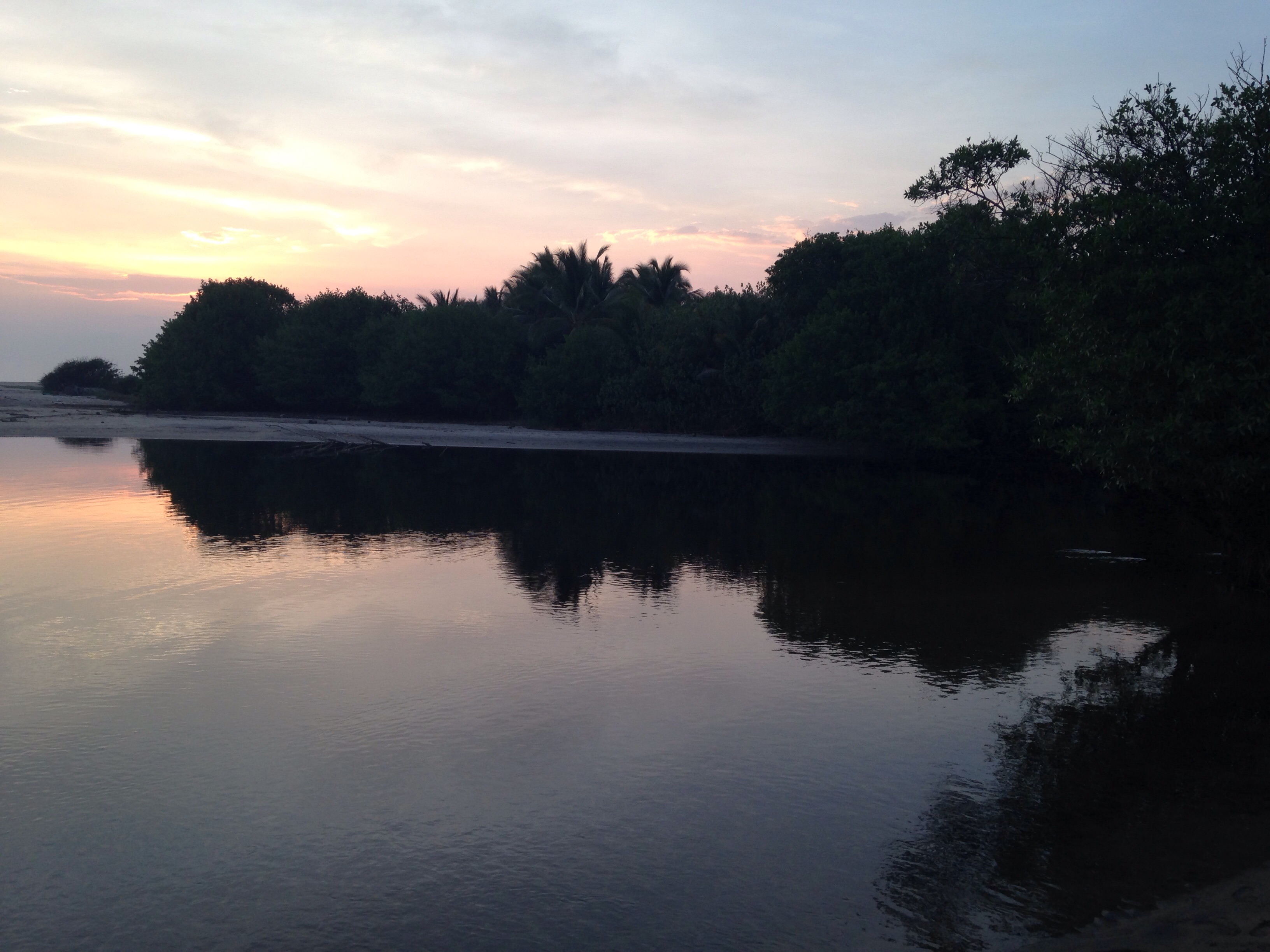 Photo 3 from Mangrove Action Project